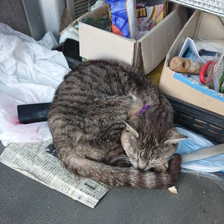 36a58bc4 e9e5 44b1 9791 2e9a770da1fc 1590828909104