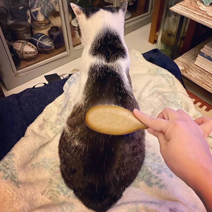 36a5ad79 d227 4e13 bae2 93e60de43c1b 1614344222920