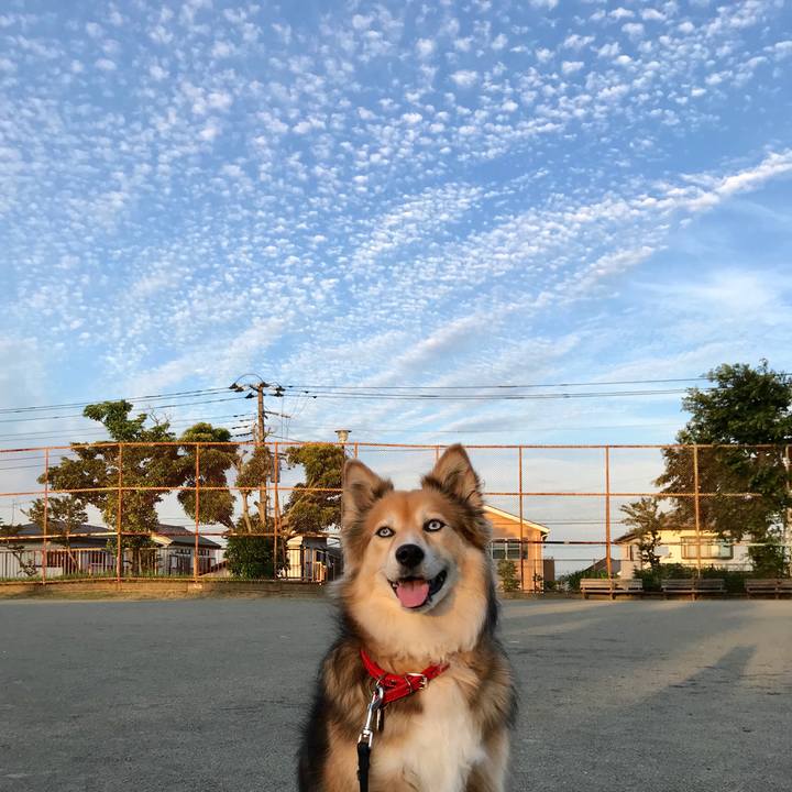 36a5d301 e9b7 4e68 8efe 10a7c2ae0eb3 1560763580398