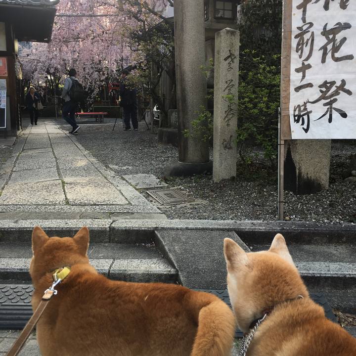 36a6018f 8e3a 4fd1 b2f8 0a0333b3a613 1522562901048