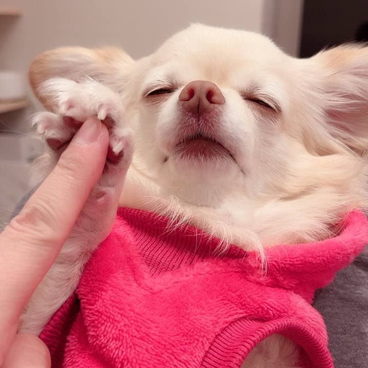 36a6819d e2e5 4e42 a36d e54fefda33e1 1734355930008