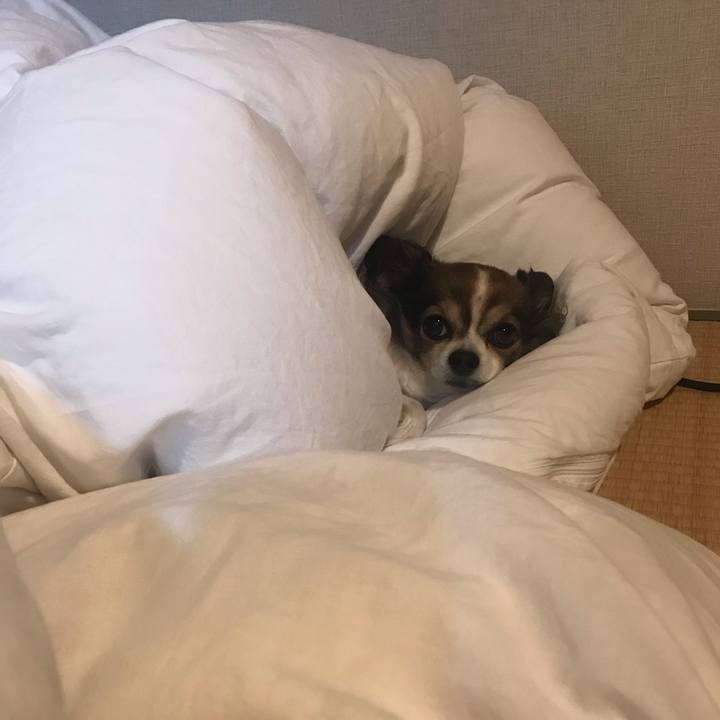 36a6849f 634b 4e7a b8ae 685044388474 1650116097534