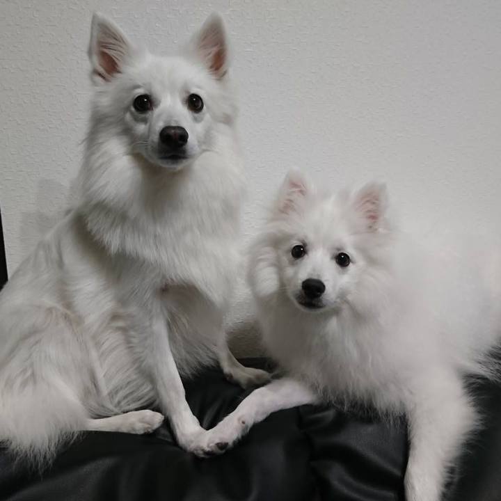 36a6c4c6 7edd 4046 8210 e08871c6a752 1552952786337