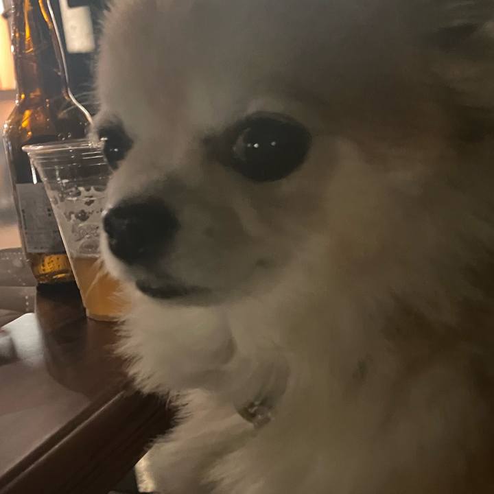 36a6d6dc 947c 415c 89bf bf50b5cc00ed 1763678118830