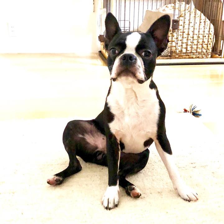 36a6fc62 a344 4639 9c79 08919f34445b 1528164924112