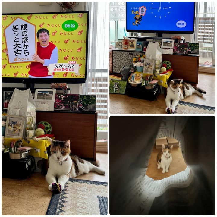 36a700d5 167c 4cb0 9e57 02c2e9d2ffa9 1687730913290