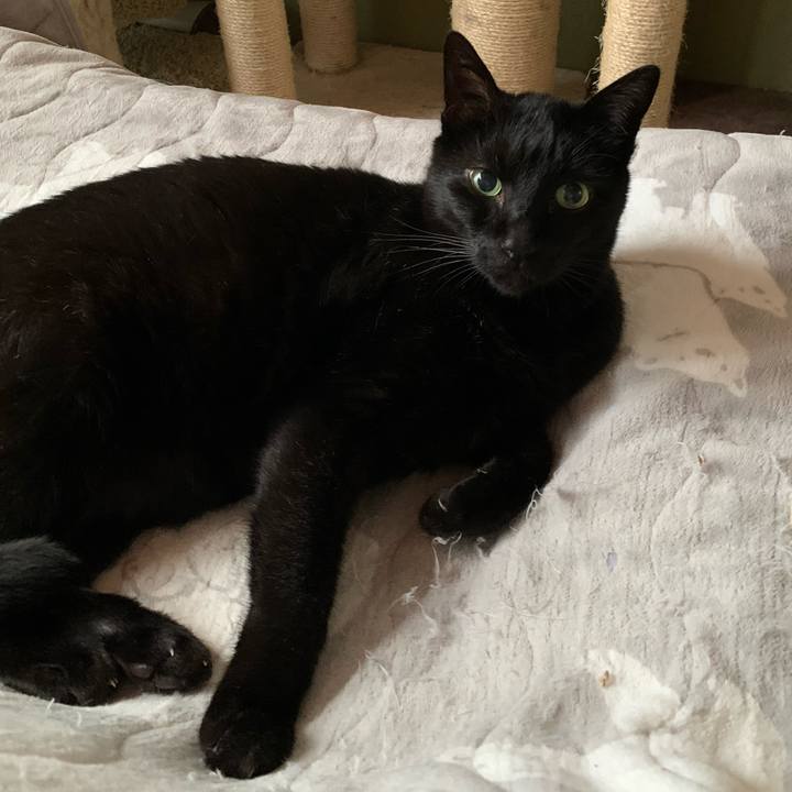 36a75ccb de23 41dc 8c2a 104d7d472cc1 1581556582672