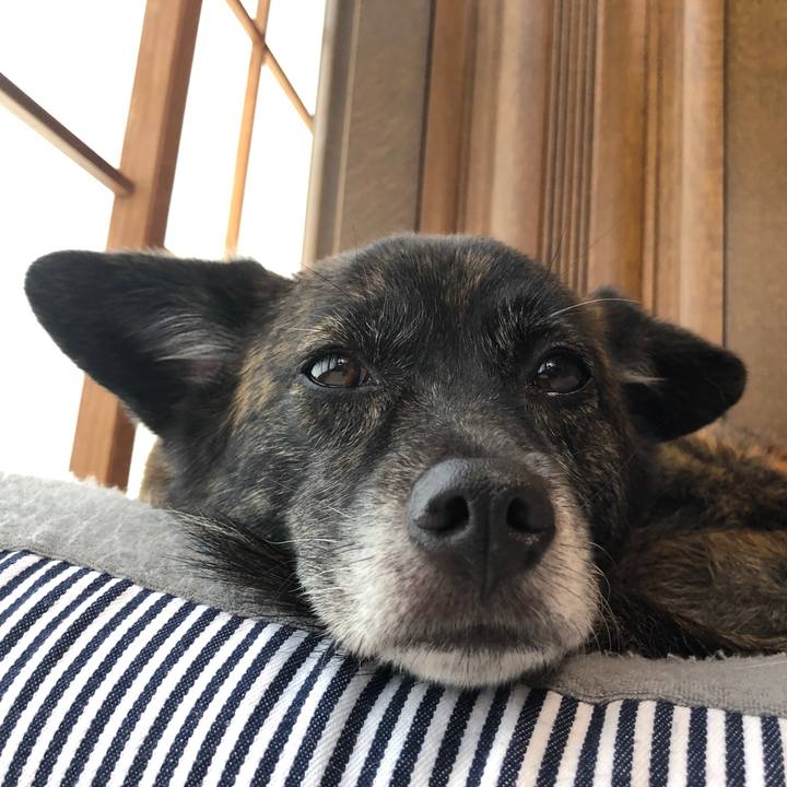 36a77efd dbfd 4a80 9529 bd7f6148c091 1564980985755