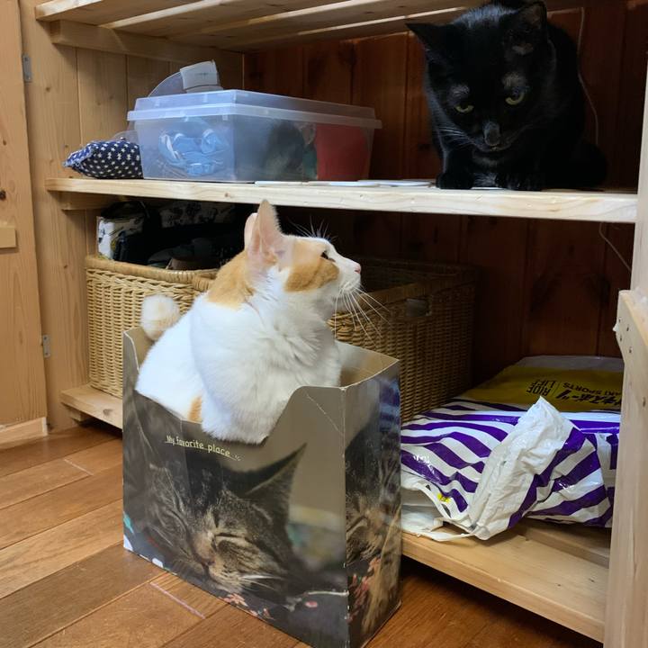 36a79a4f 0e49 485e 8483 841344f1a273 1636889964059