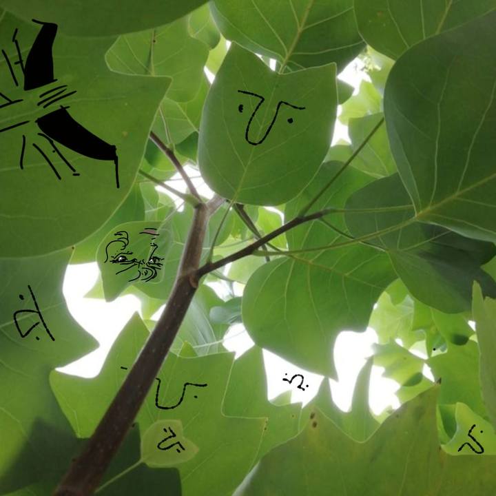 36a7da07 378c 4ef0 963c 8fa572ee538c 1693057251579