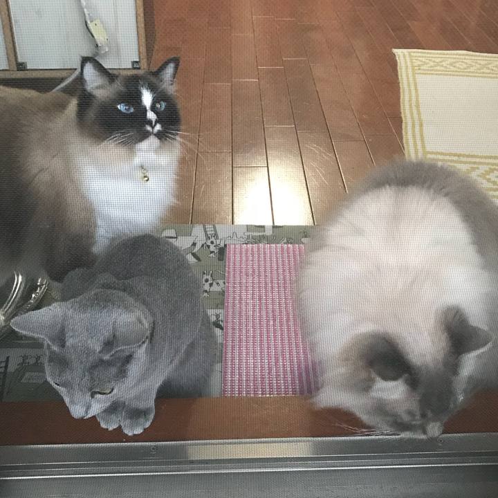 36a80900 1fc4 47d1 a139 0ed5c581cd87 1522363279847