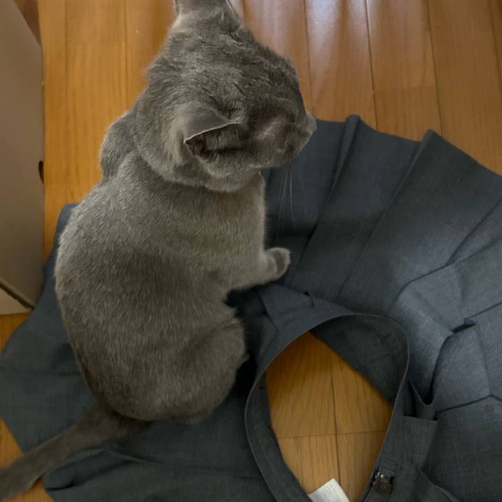 36a859e2 5736 4676 984a 33be54440ed9 1724801949891