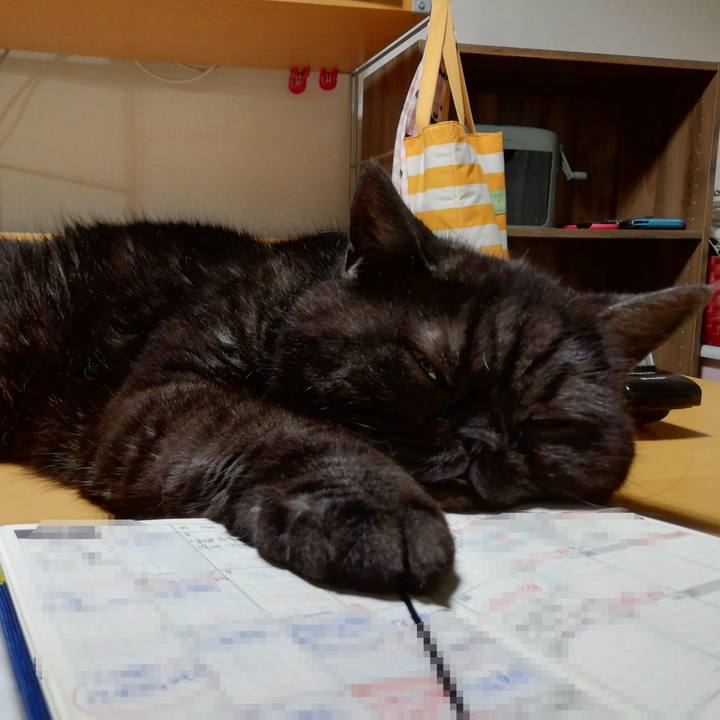 36a88148 4272 461f a23f 1634b9ca84a0 1637229735836