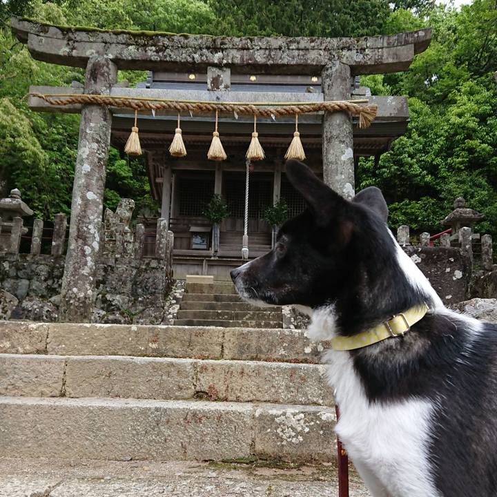 36a966aa a01e 46aa bf2c 93d126e59bf0 1525910012511