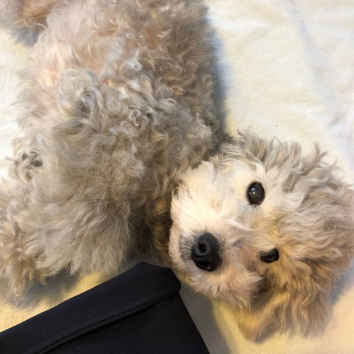 36a9832e 663e 4838 8cda fedac6d0bcd4 1526943932383