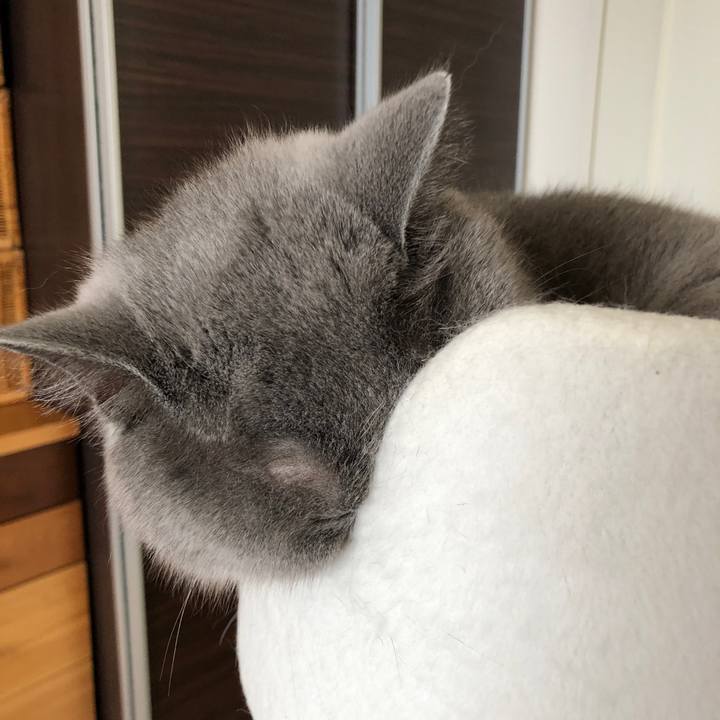 36a9837b 6d6c 4b1c 857a 89814132a6d6 1531913257432