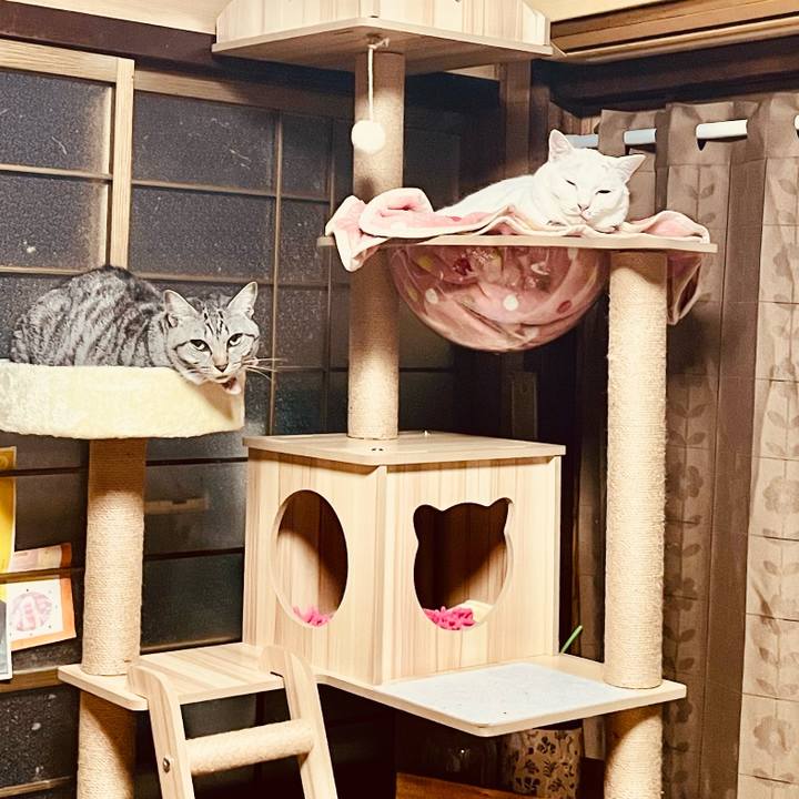 36a99c9c 5e1c 4aa2 9827 44f439f46175 1763469920595