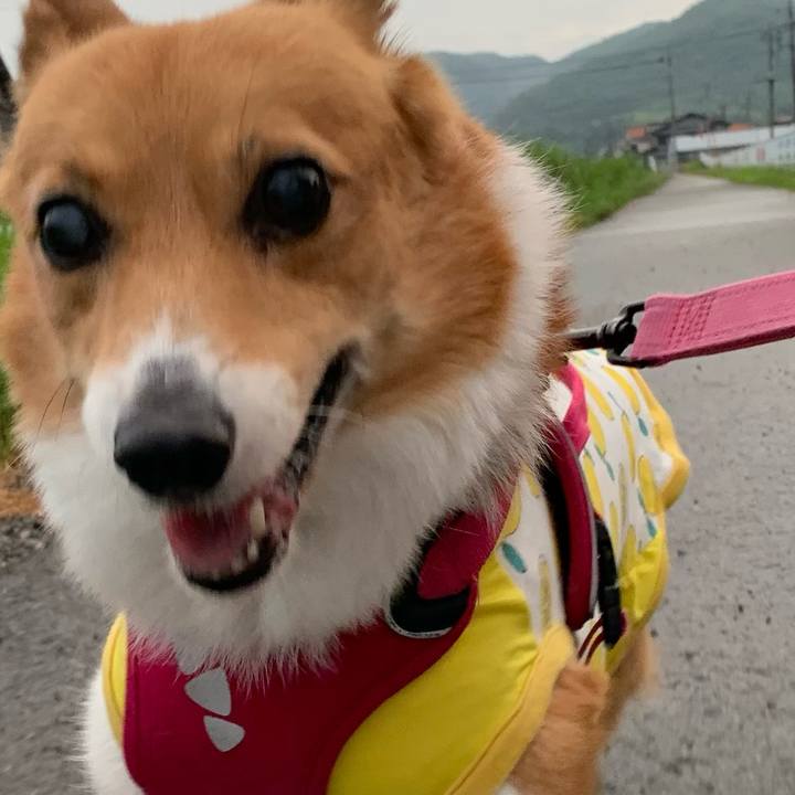 36a9b398 ea8f 4aab a07c b7b646451844 1719570234905