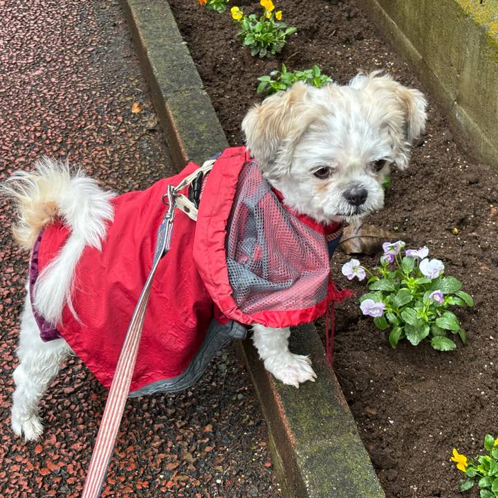 36a9cd74 309c 4c9f 84f6 0b081f2f35c9 1761515275453