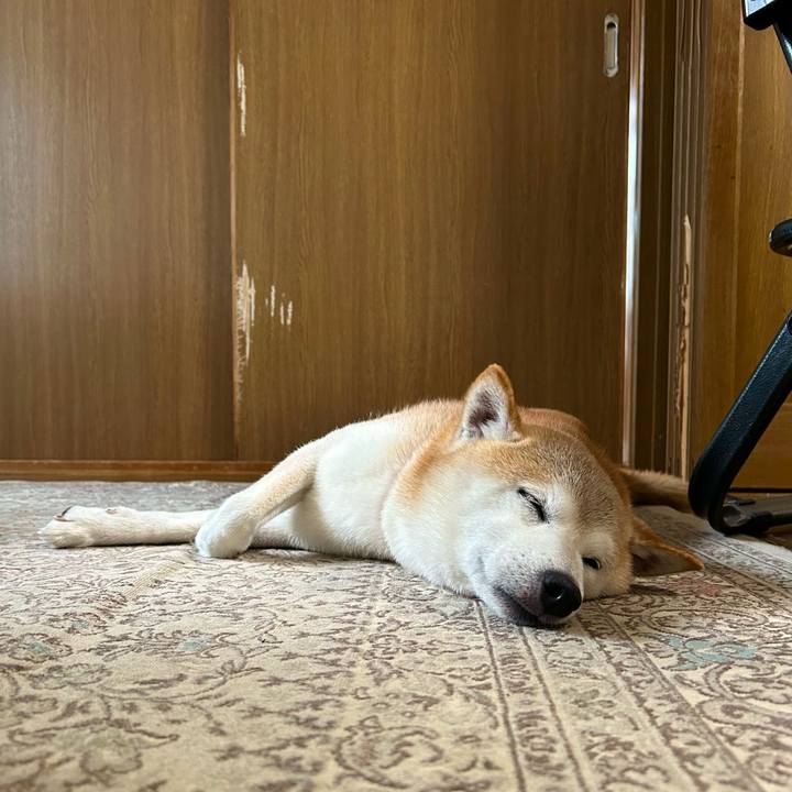 36a9e2b6 69c9 48b6 93f5 64fc82aab345 1756120151511