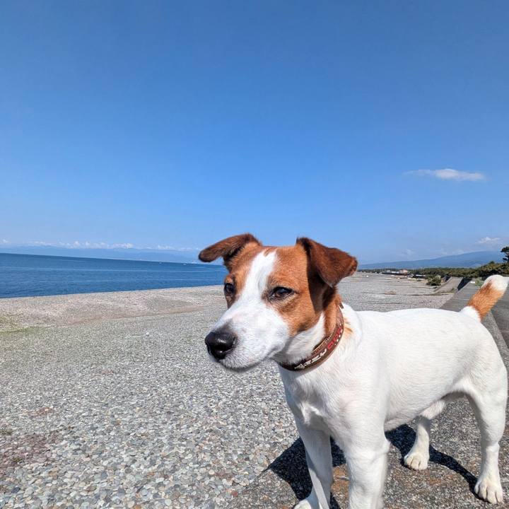 36a9f5e6 9122 40c7 9c71 6b9b390c8d24 1745287140349