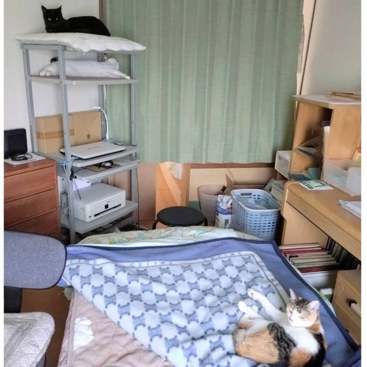 36aa0e0e a9c4 4d47 8a4e f8f8a6344dfb 1719564043265