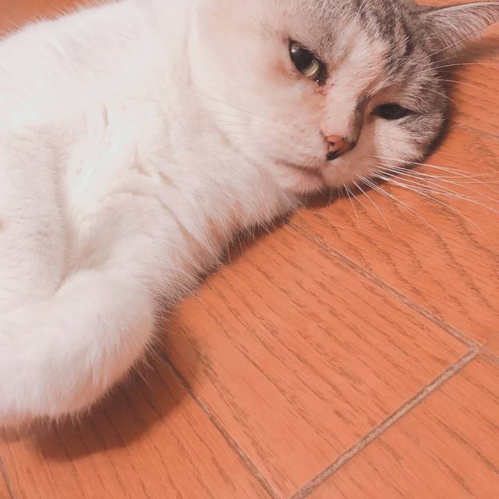 36aa25d6 5b66 47d9 93d1 20111ff5d8aa 1570783751161