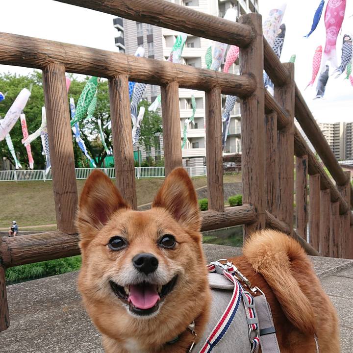 36aa33d0 377b 4049 9ff4 4a26c370f1a7 1556527794628