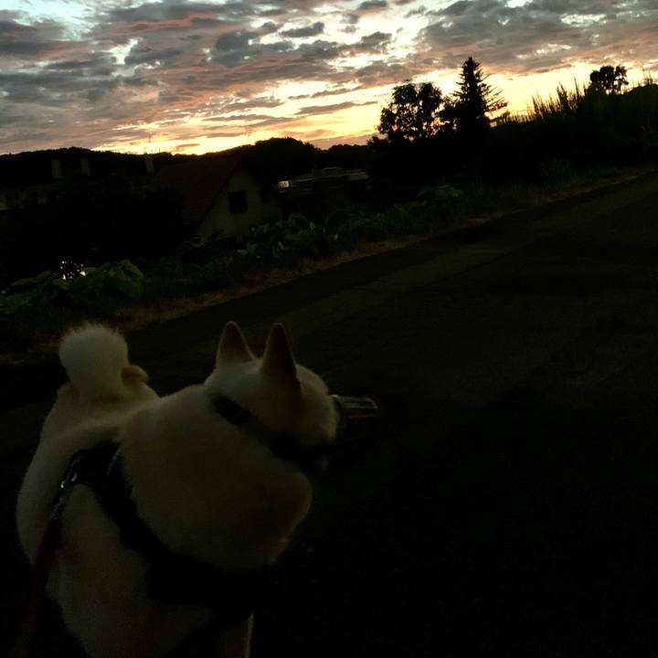 36aa3cb9 8b27 4afc b609 921b470ef925 1628365076267