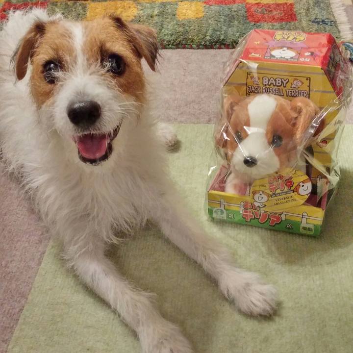 36aa565d 8d94 43f9 b210 14b5508ddf09 1537005977459