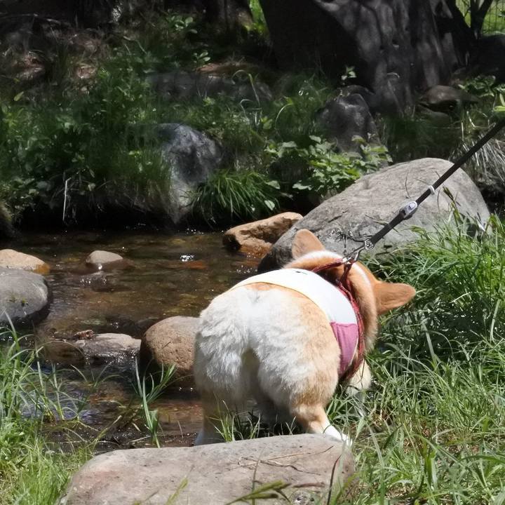 36aa60ed 276d 4544 b642 0fcd3bec604e 1587125966401