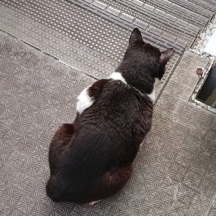 36aaa170 2954 4212 9faf 9a0e1fa159bb 1591139835817