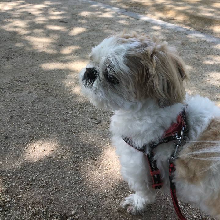 36aaa1d1 cee0 44bd 96f9 3d2bd5a37a13 1621461214320