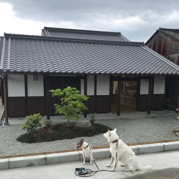 36aaa5c4 bf71 428b 8492 4826a9b49db3 1525353969521