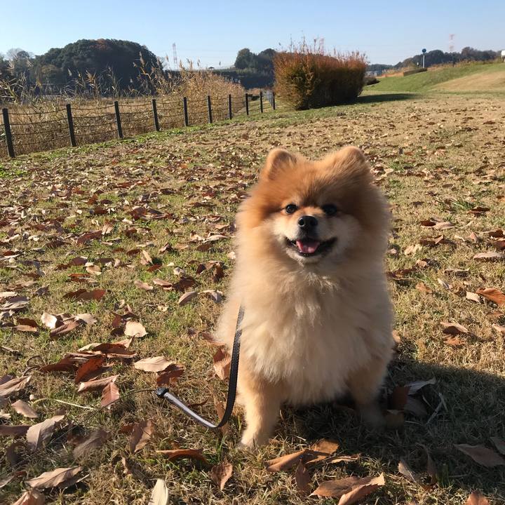 36aabdaf 326d 49c6 9b11 841766ce9ae9 1513041320495