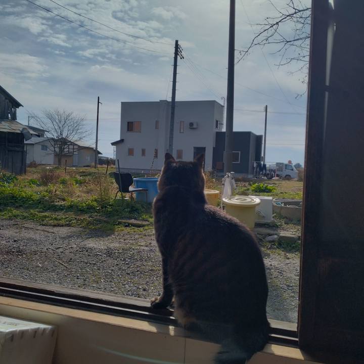 36aacfd6 948a 43e6 b841 52301e4c9fc8 1668912394506