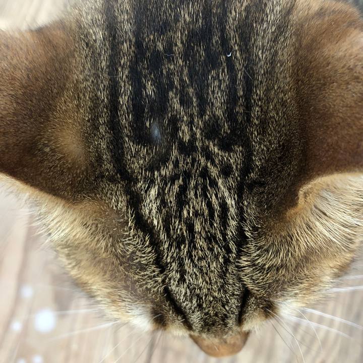 36aae03f 1daf 471e a468 410a08848be2 1655283958703