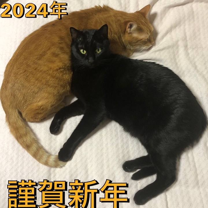 36aae060 327a 45c1 ae67 a12a44101fc0 1704037228098