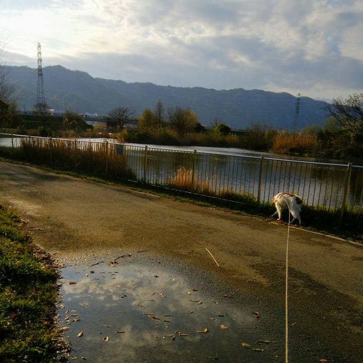 36ab1a9a 782f 427d affe 36f6ea3a24cb 1553992025618