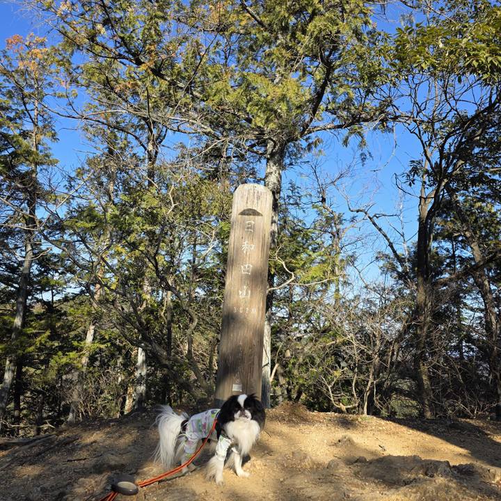 36ab1f95 7f4a 4add 807a d3dbe434c38e 1768302759740