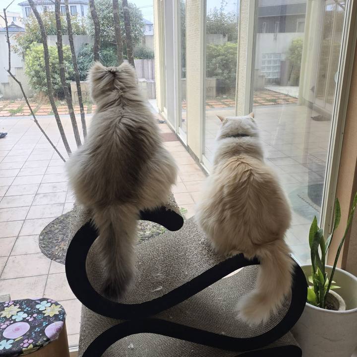 36ab262e bae0 4ad4 9c48 74d7ad897d2c 1773353864738