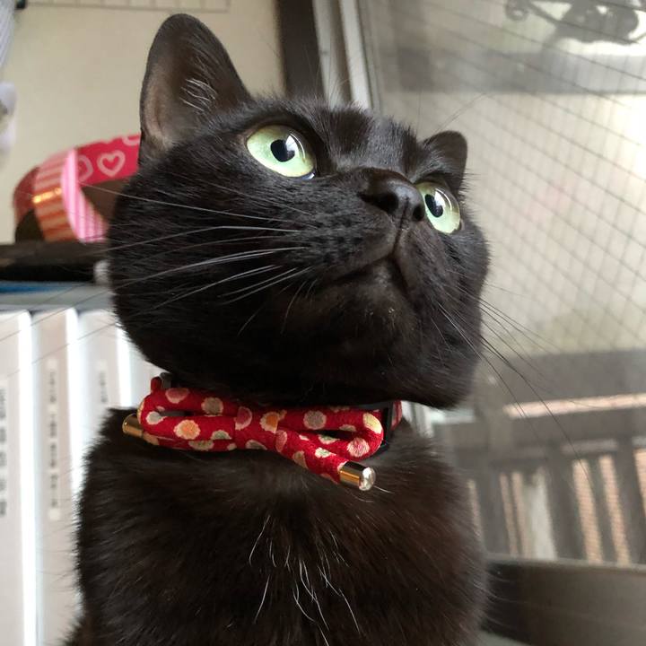 36ab48f7 45a5 43e1 8abe 083192538df5 1612219869973