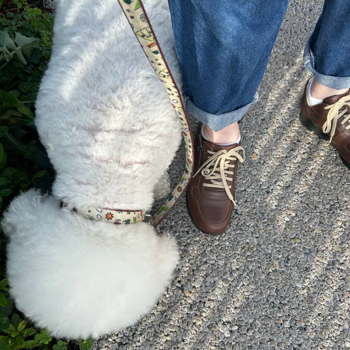 36ab4d76 139e 4513 9561 00e4f2971802 1760836997308