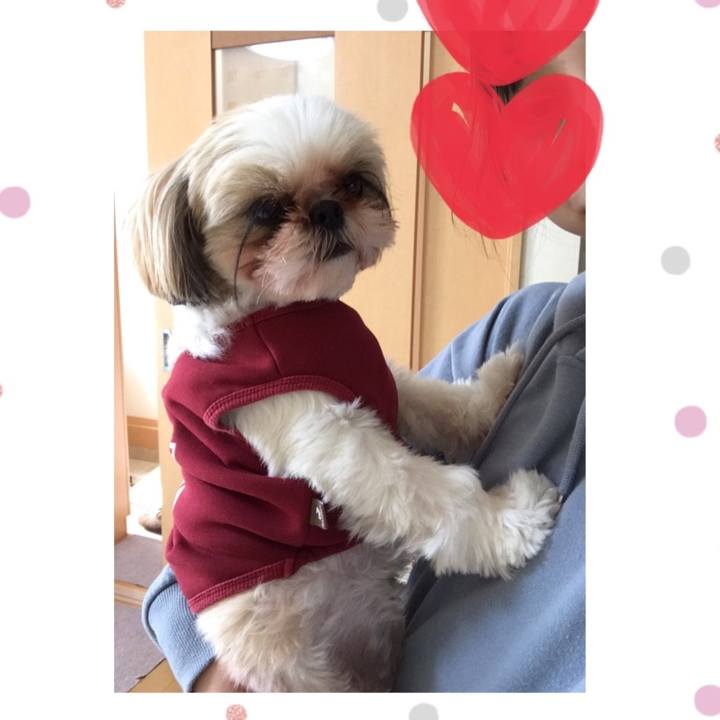 36ab4fa4 0d6f 41a0 b6a8 29037c531c8e 1612755618709