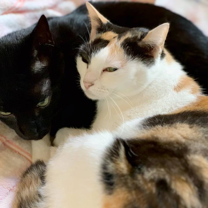 36ab50cd 4fd5 4567 88c3 a57da504f512 1540085808194