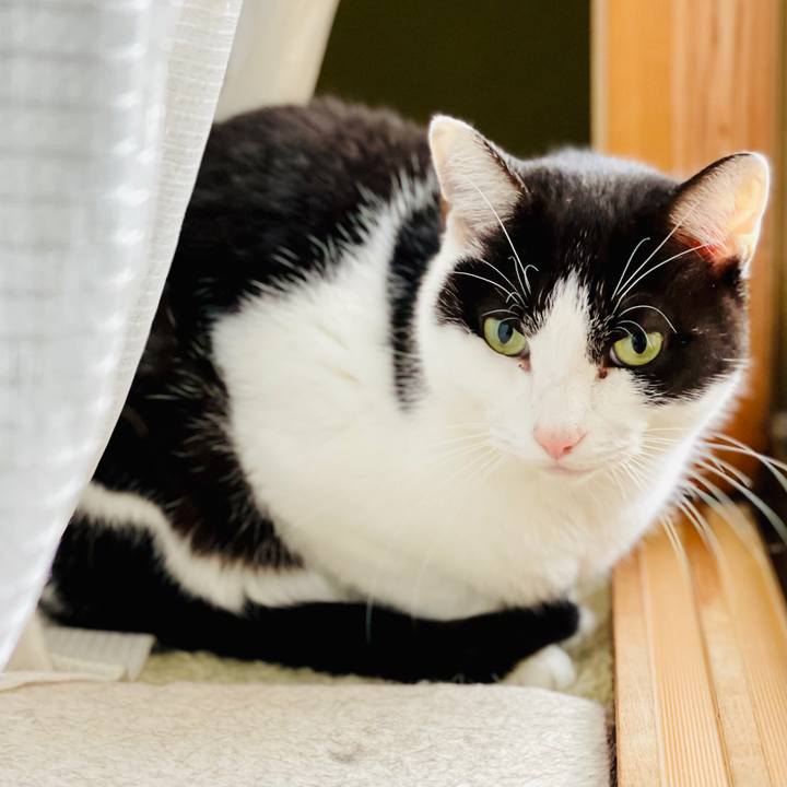 36ab67b4 d8d8 4558 a628 18f69700c131 1609032296791