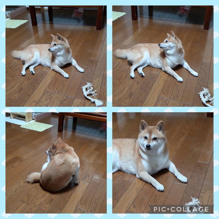 36ab7581 5eac 46d7 8526 2f1be24ee892 1754649123674