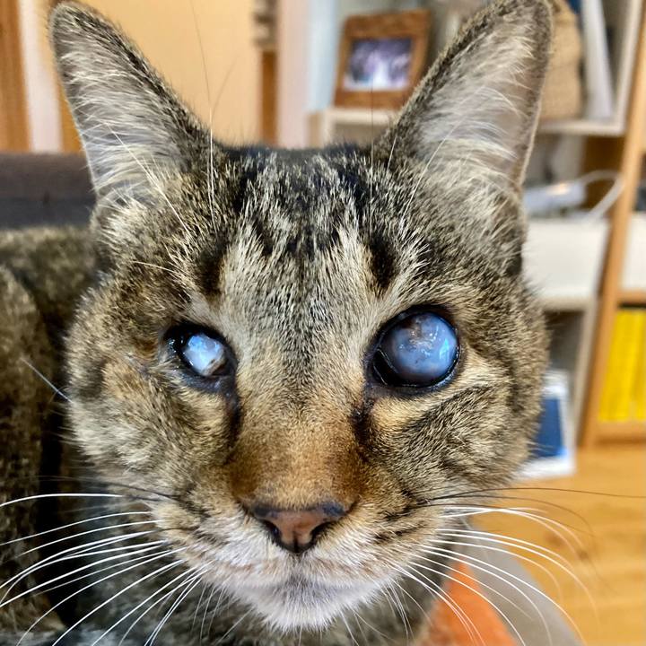 36abdeee fc54 4853 bcc3 09800d4f07c1 1639556176444