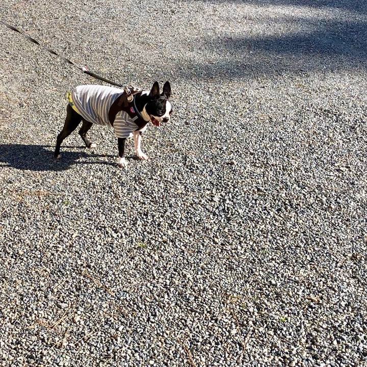 36abeb58 051e 4c7b 93b2 b0609bf9198d 1547363820880