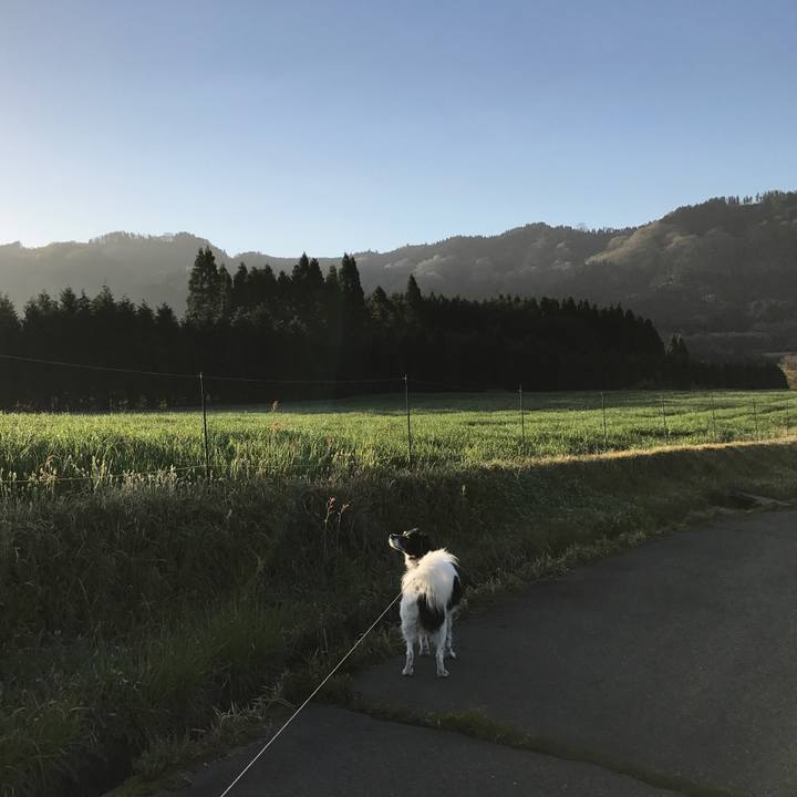 36abec35 0a17 46b7 b2dd 2987d144a2fc 1524146213958